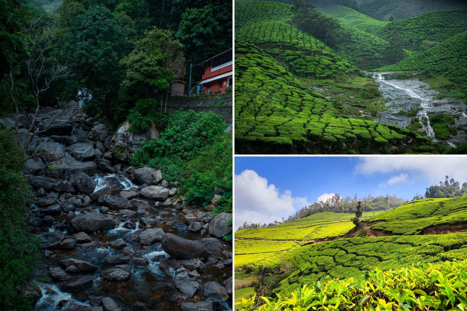 The 9 Best Places To Visit In Kerala - Munnar