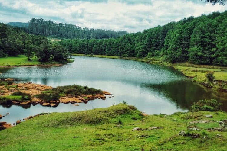 6 Things That Are Must For A Visitor To Do In Ooty!