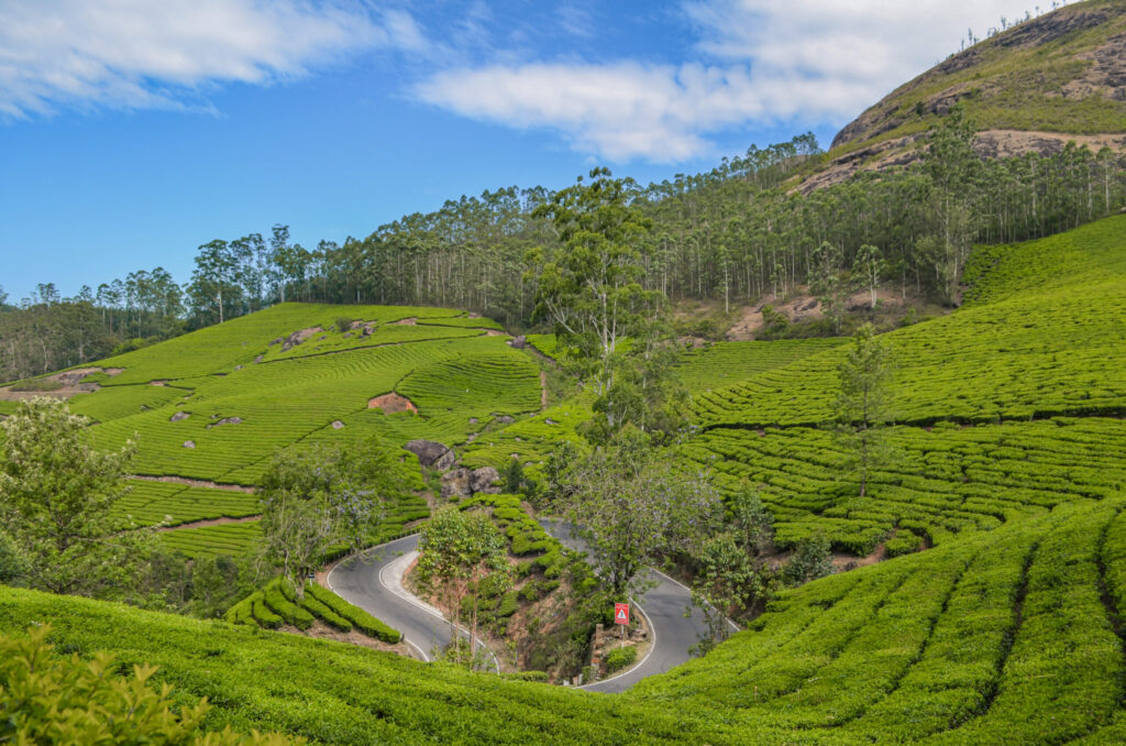 5 Best Hill Stations In South India