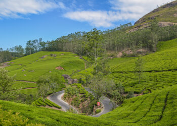 5 Best Hill Stations In South India