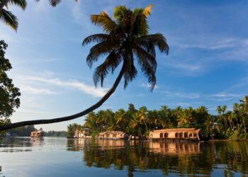 7 Kerala Travel Tips To Keep In Mind For A Memorable Trip