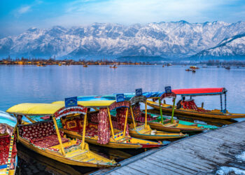 8 Unique Ways To Explore The Ambiance Around Dal Lake