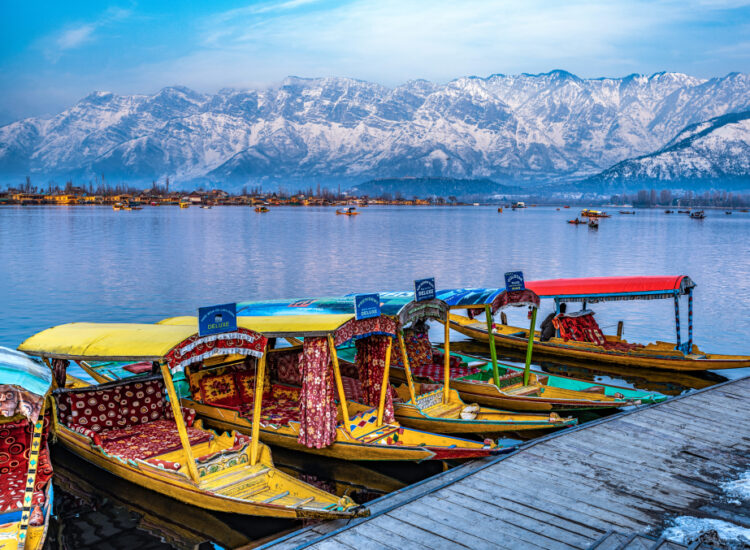 8 Unique Ways To Explore The Ambiance Around Dal Lake