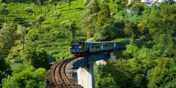 6 Things That Are Must For A Visitor To Do In Ooty!