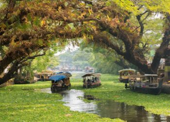 The 9 Best Places To Visit In Kerala | From Best Beaches To Cultural Places...