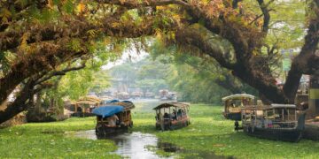 The 9 Best Places To Visit In Kerala | From Best Beaches To Cultural Places...