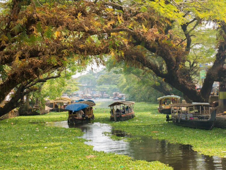 The 9 Best Places To Visit In Kerala | From Best Beaches To Cultural Places...