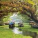 The 9 Best Places To Visit In Kerala | From Best Beaches To Cultural Places...