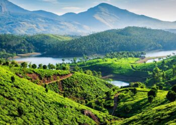 5 Best Hill Stations In South India