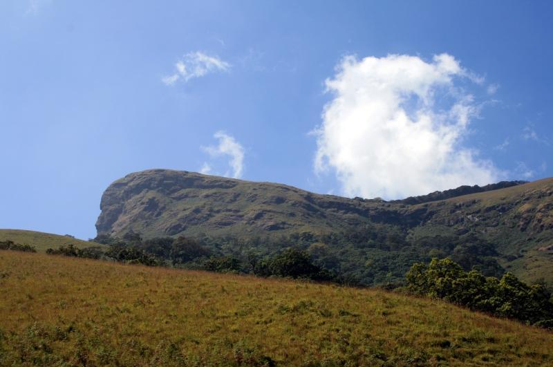 Green grassland slopes of Kudremukh in the Western Ghats of Karnataka